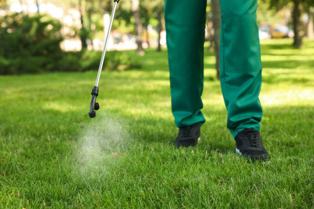 Reliable Hartford, KY Pest Control Solutions